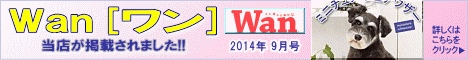 雑誌「WAN」掲載