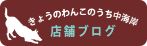 店舗ブログ　きょうのわんこのうち中海岸