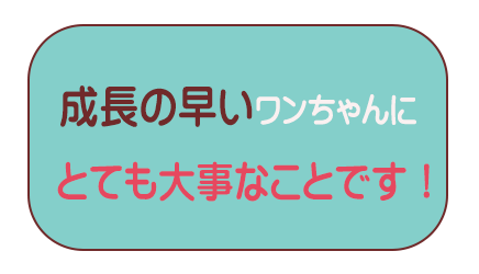 成長期の犬にとても大切なこと