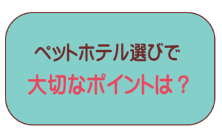 ペットホテル選びに大切なポイント