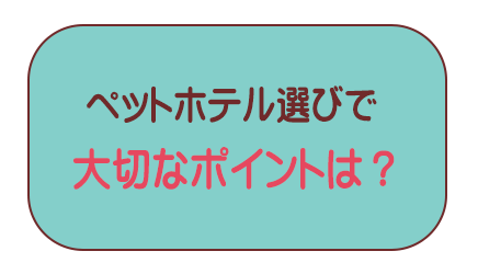 ペットホテル選びに大切なポイント