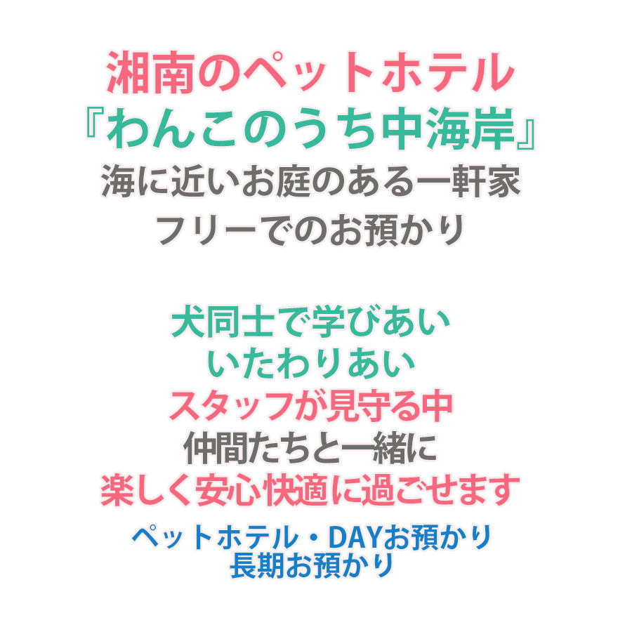 わんこのうち中海岸-湘南のペットホテル